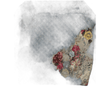 Louis Vuitton Blue Monogram Distressed Floral Workwear Jacket - Morely TrendsLouis Vuitton Type here:)