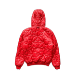 Louis Vuitton Red Flower Monogram Puffer Jacket - Morely TrendsLouis Vuitton Type here:)