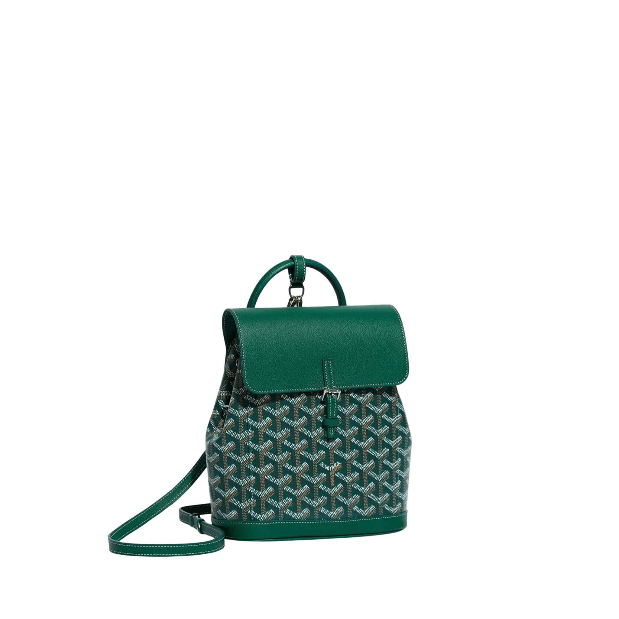 Goyard Alpin Mini Backpack Green – Morely Trends