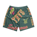 Supreme Varsity Mesh Short Green