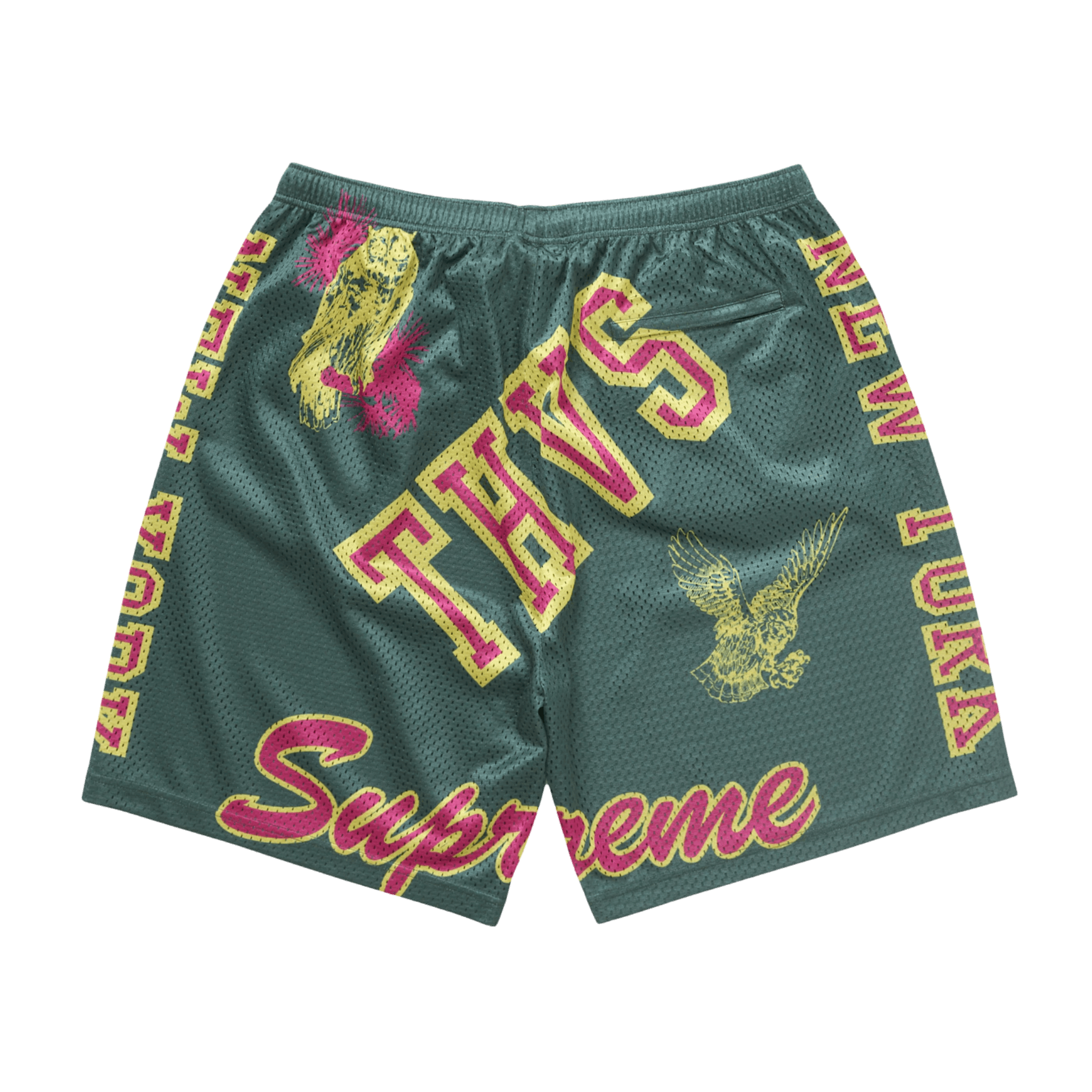 Supreme Varsity Mesh Short Green