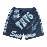 Supreme Varsity Mesh Short Navy