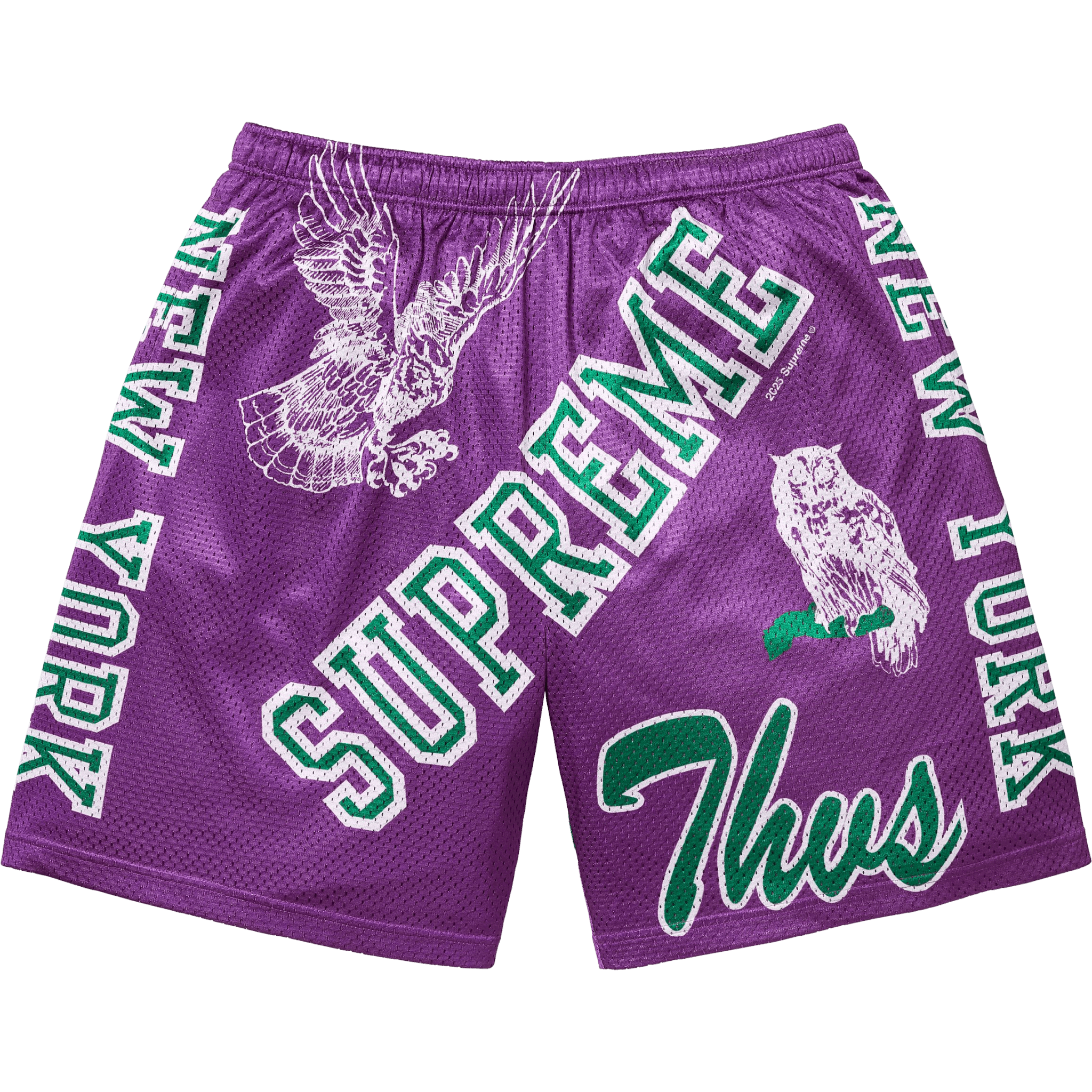 Supreme Varsity Mesh Short Purple
