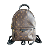 Louis Vuitton Brown Monogram Palm Springs Mini Backpack