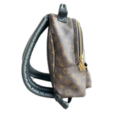 Louis Vuitton Brown Monogram Palm Springs Mini Backpack