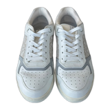 Dior White & Grey Oblique B27 Sneakers