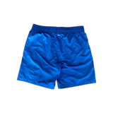 Louis Vuitton Blue Monogram Swim Shorts