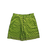 Dior Green & Black Oblique Silk Shorts