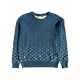 Louis Vuitton Blue & White Gradient Monogram Sweater