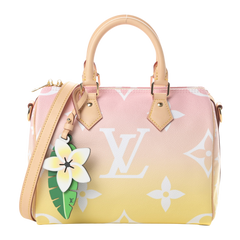 Louis Vuitton Speedy 25 By The Pool Handbag