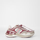 Gucci Sneaker