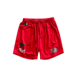 Chrome Hearts Matty Boy Red ‘99 Team’ Logo Mesh Shorts - Morely TrendsChrome Hearts Type here:)