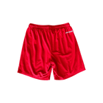 Chrome Hearts Matty Boy Red ‘99 Team’ Logo Mesh Shorts - Morely TrendsChrome Hearts Type here:)