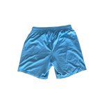 Chrome Hearts Blue & White Logo Mesh Shorts - Morely TrendsChrome Hearts Type here:)