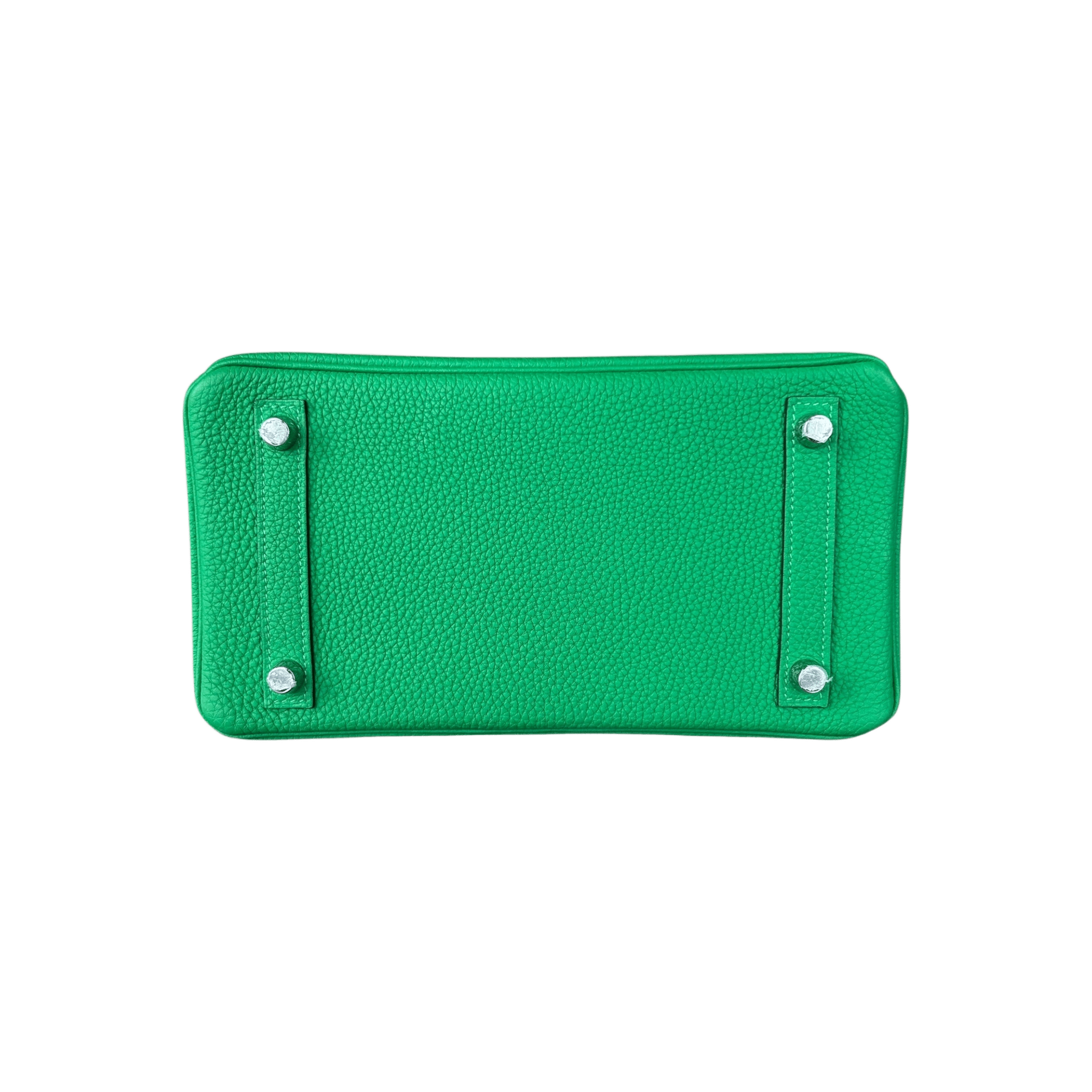 Hermes Bamboo Green Togo Birkin 25 - Morely TrendsHermes Type here:)