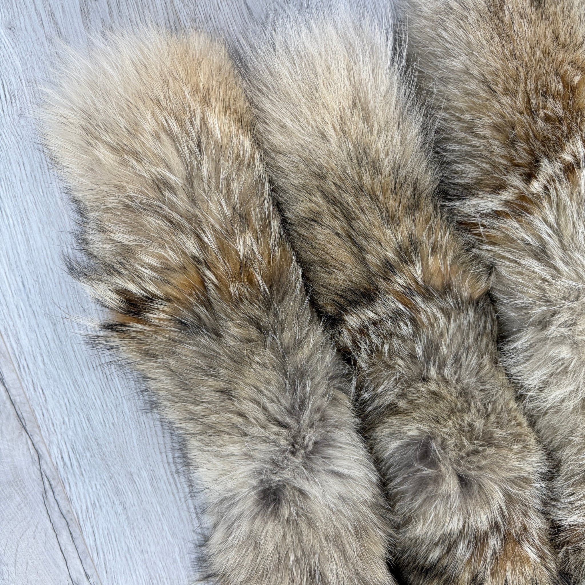 Fur Trim Replacement - 2022-2026 - Morely TrendsCanada goose Type here:)