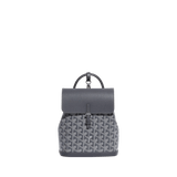 Goyard Alpin Mini Backpack Grey