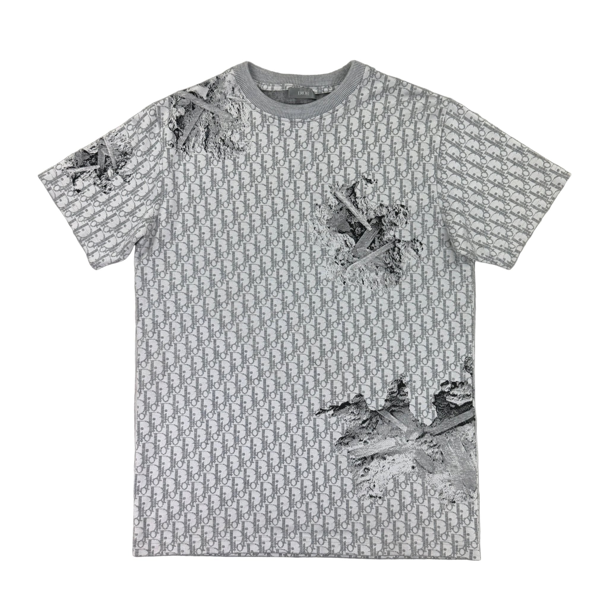 Dior Men’s Grey Oblique Daniel Arsham T-shirt - Morely TrendsDior Type here:)
