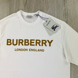 Burberry Men’s White T-shirt & Shorts Set