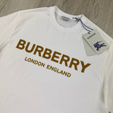 Burberry Men’s White T-shirt & Shorts Set