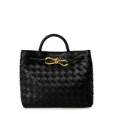 Bottega Veneta Small Andiamo