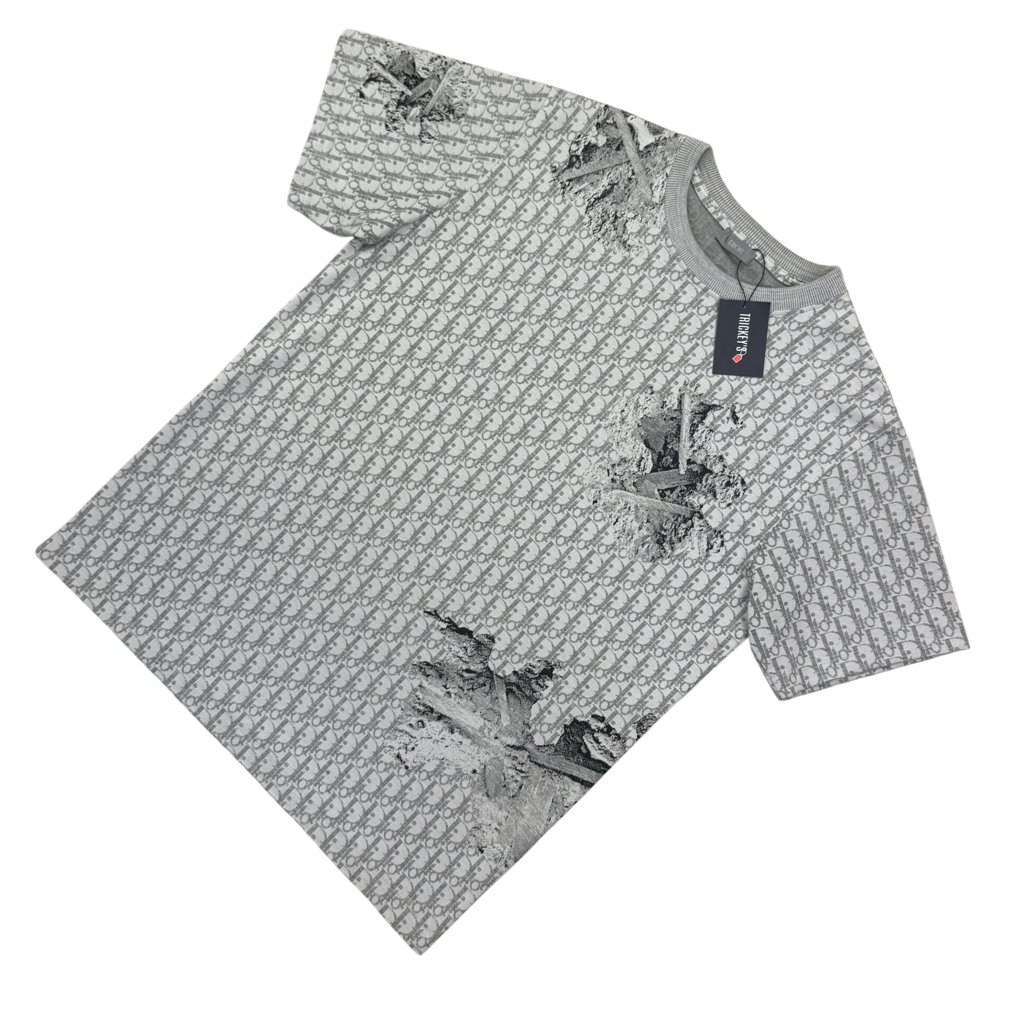 Dior Men’s Grey Oblique Daniel Arsham T-shirt - Morely TrendsDior Type here:)