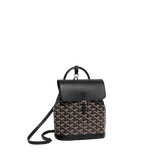 Goyard Alpin Mini Backpack Black