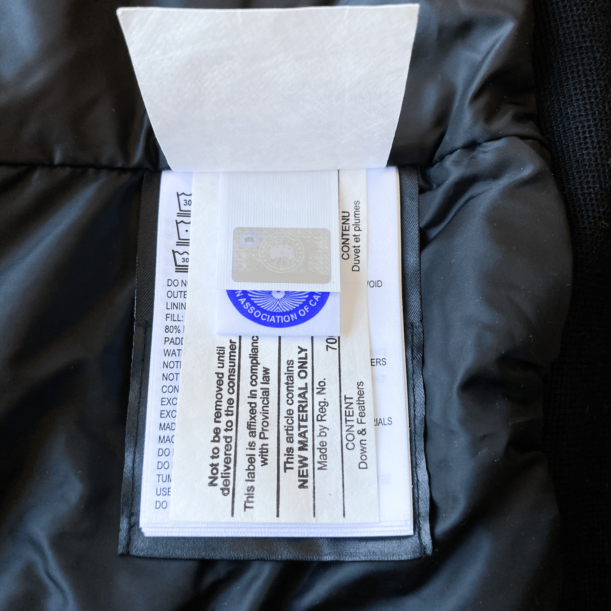 Canada Goose Elderberry Dore Women's Jacket - Morely TrendsCanada Goose Type here:)
