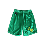 Chrome Hearts Green & Yellow Logo Mesh Shorts - Morely TrendsChrome Hearts Type here:)