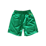 Chrome Hearts Green & Yellow Logo Mesh Shorts - Morely TrendsChrome Hearts Type here:)