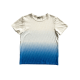 Dior Blue & White Gradient Oblique T-Shirt - Morely TrendsDior Type here:)