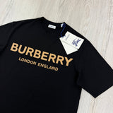 Burberry Men’s Black T-shirt & Shorts Set