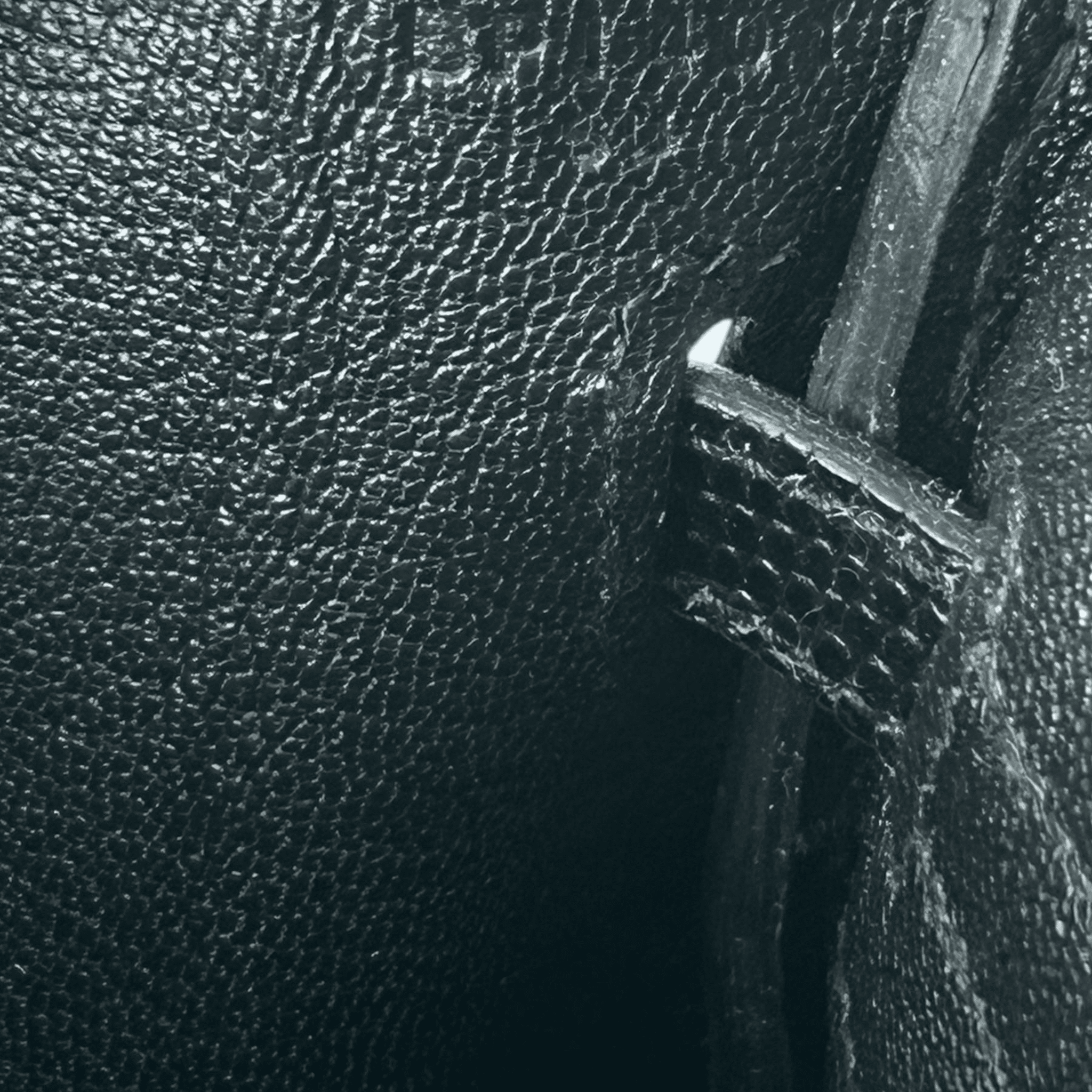 Hermes Black Lizard & Palladium Hardware Birkin 25 - Morely TrendsHermes Type here:)