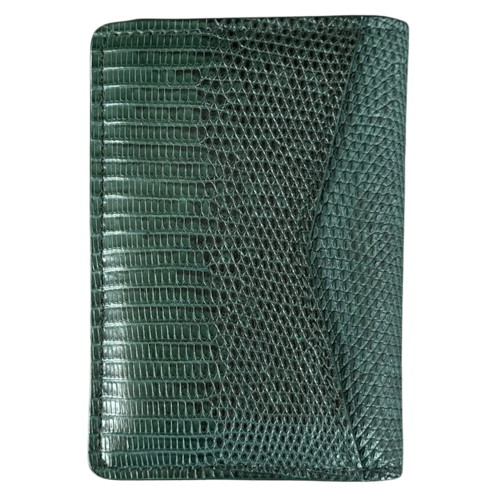Louis Vuitton Green Lizard Pocket Organizer - Morely TrendsLouis Vuitton Type here:)