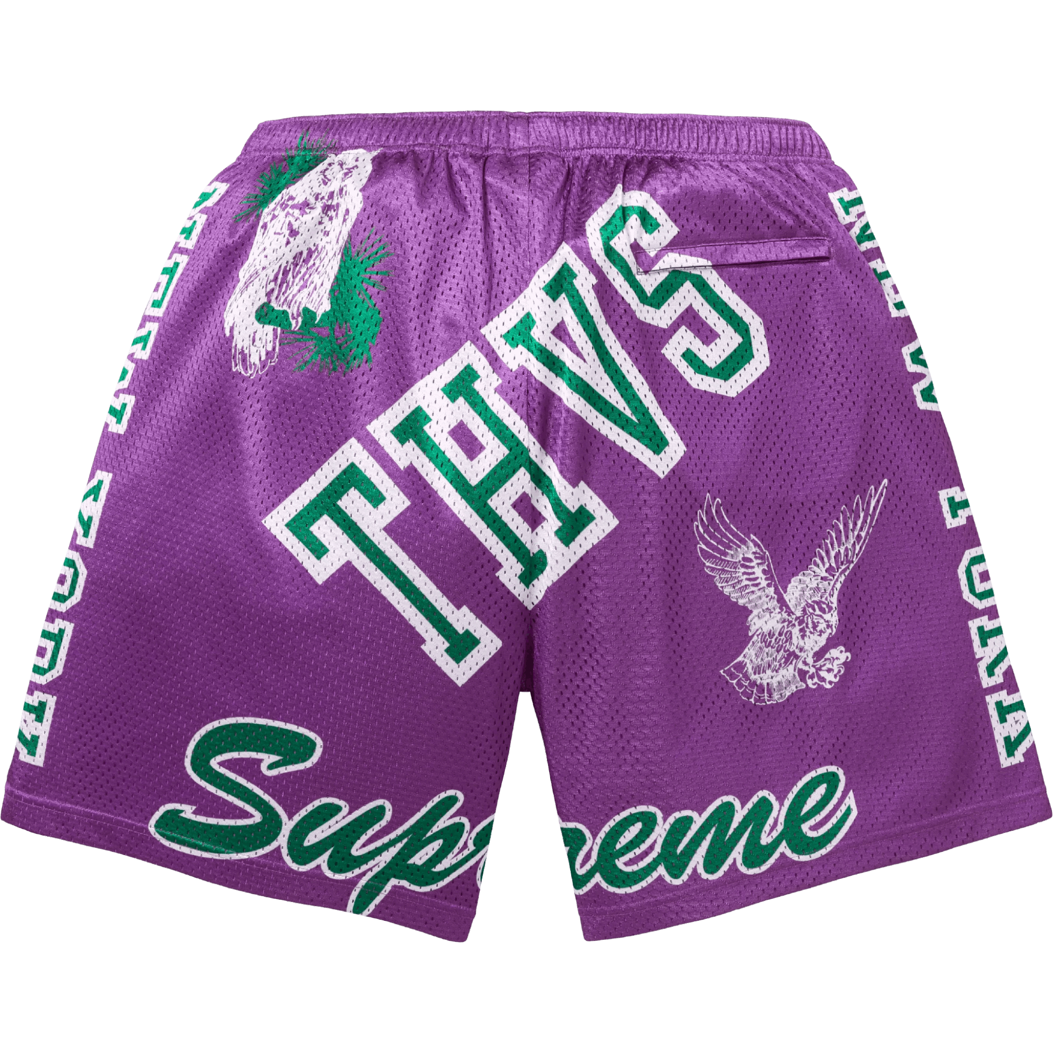 Supreme Varsity Mesh Short Purple