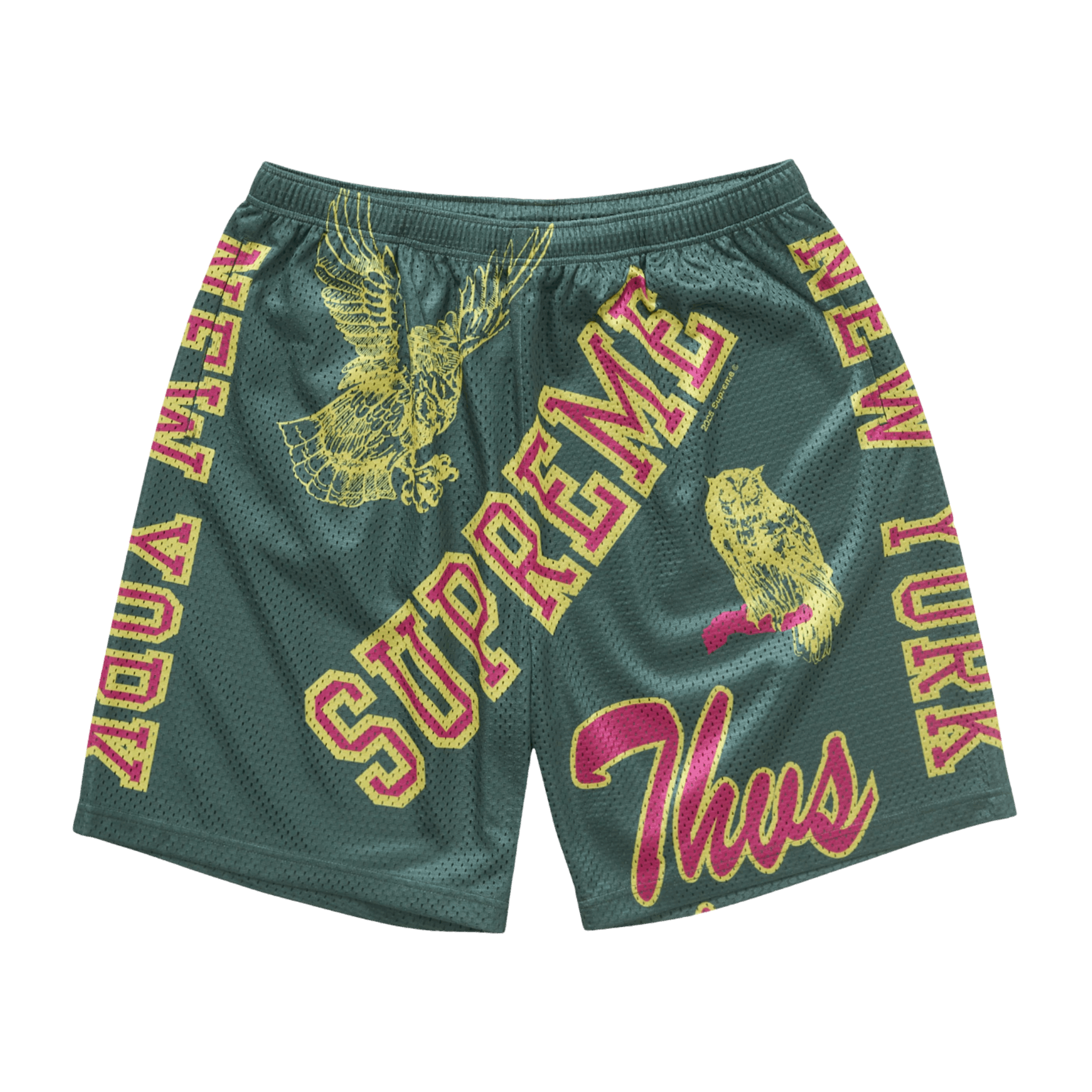 Supreme Varsity Mesh Short Green