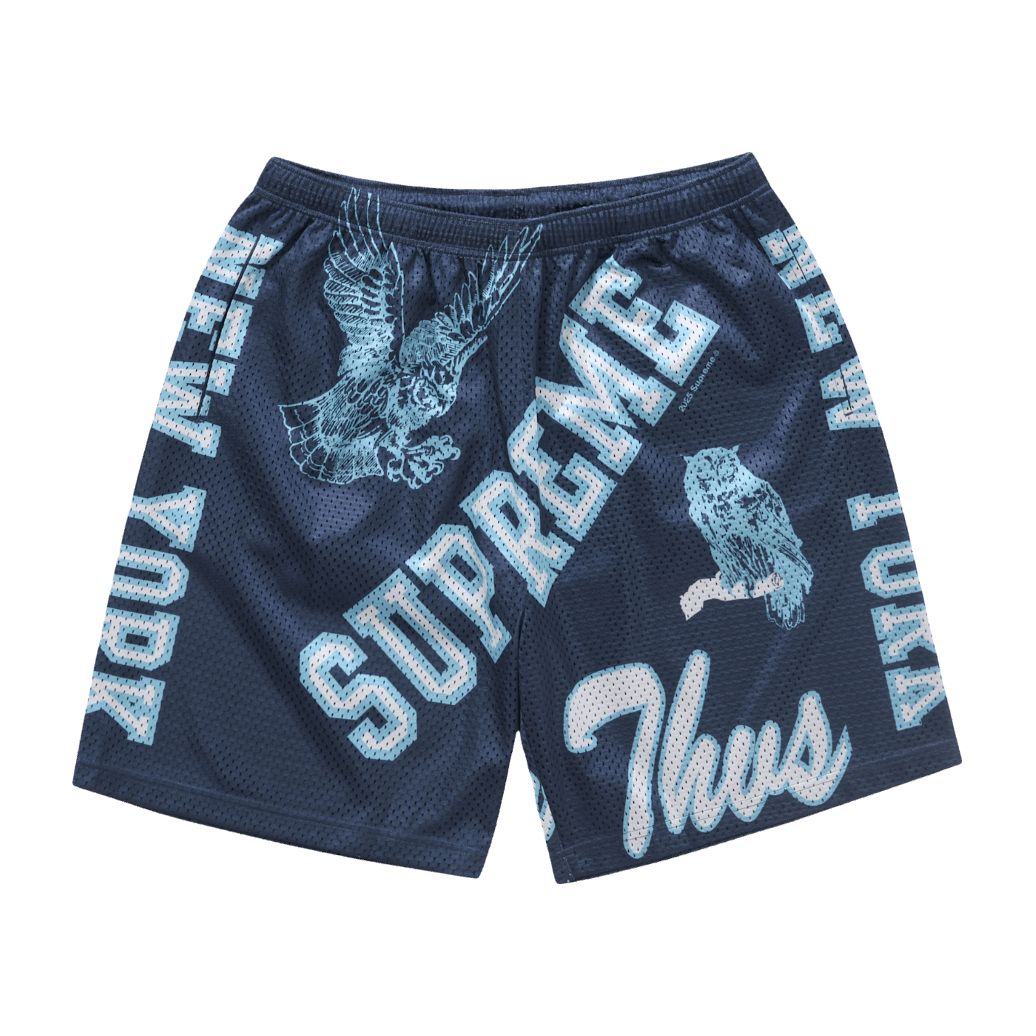 Supreme Varsity Mesh Short Navy